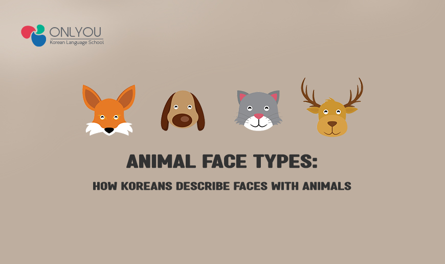 Animal Face Types How Koreans Describe Faces with Animals